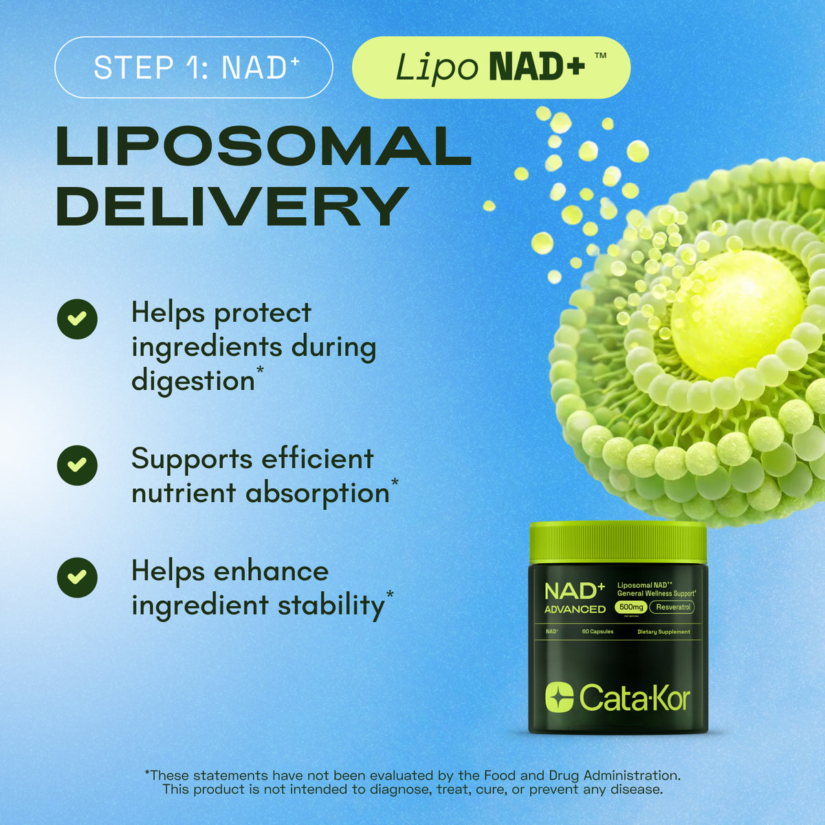 BUNDLE: Cellular Power Trio - NAD Advanced 500 mg, NMN 1000 mg, CA AKG 1000 mg - Resveratrol, TMG, MSM