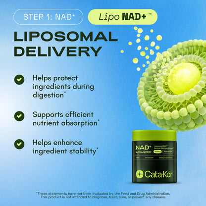 BUNDLE: Cellular Power Trio - NAD Advanced 500 mg, NMN 1000 mg, CA AKG 1000 mg - Resveratrol, TMG, MSM