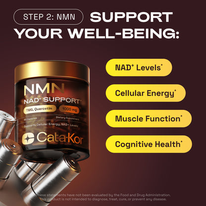 BUNDLE: Cellular Power Trio - NAD Advanced 500 mg, NMN 1000 mg, CA AKG 1000 mg - Resveratrol, TMG, MSM