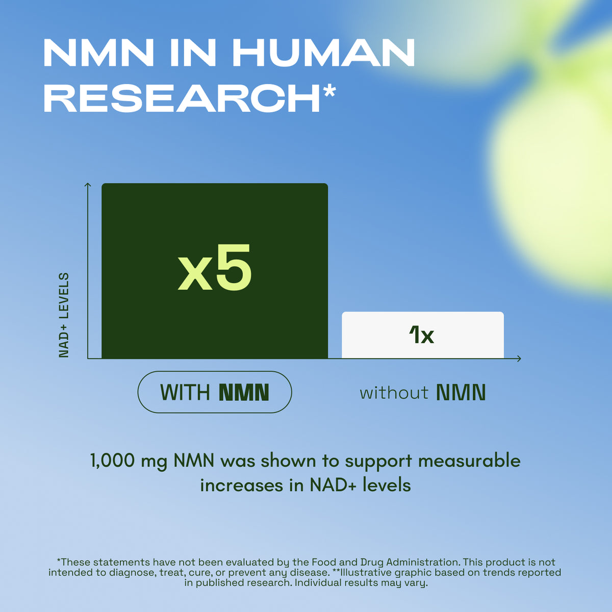 Cata-Kor NMN Supplement Powder 1000 mg - Pure NMN Powder 100 Servings