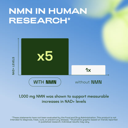 Cata-Kor NMN Supplement Powder 1000 mg - Pure NMN Powder 100 Servings