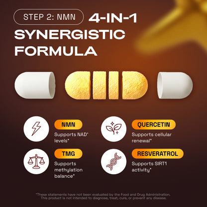 BUNDLE: Cellular Power Trio - NAD Advanced 500 mg, NMN 1000 mg, CA AKG 1000 mg - Resveratrol, TMG, MSM