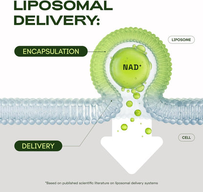 BUNDLE: LIPOSOMAL NAD+ & NMN COMPLEX