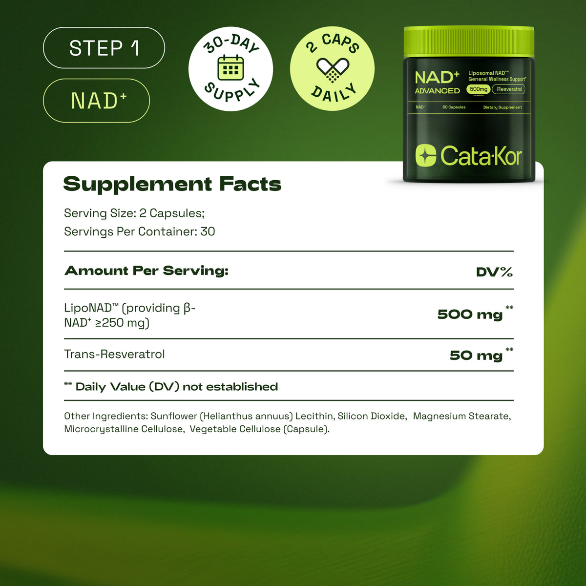 BUNDLE: Cellular Power Trio - NAD Advanced 500 mg, NMN 1000 mg, CA AKG 1000 mg - Resveratrol, TMG, MSM